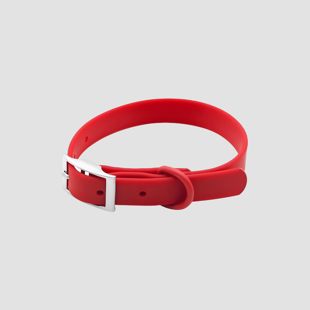 Everyday Weatherproof Dog Collar