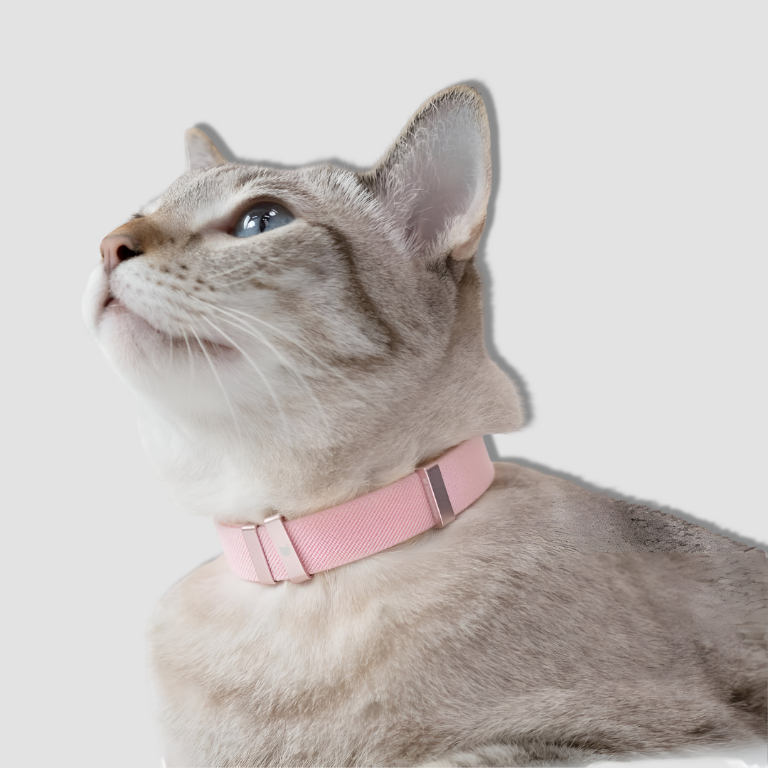 BuddyArmor Safety Cat Collar Blush Pink