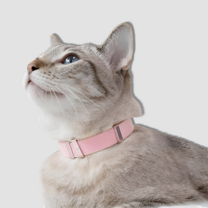 BuddyArmor Safety Cat Collar Blush Pink