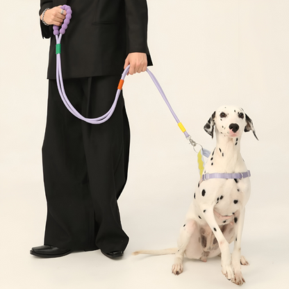 Cloud Multiway Handsfree Leash By A Petter Place