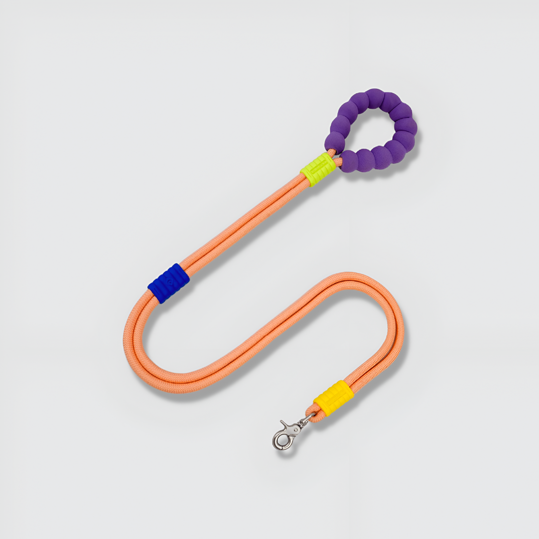 Cloud Multiway Handsfree Leash - Orange - A Petter Place