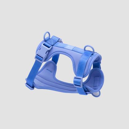 Everyday Dog Harness Blue