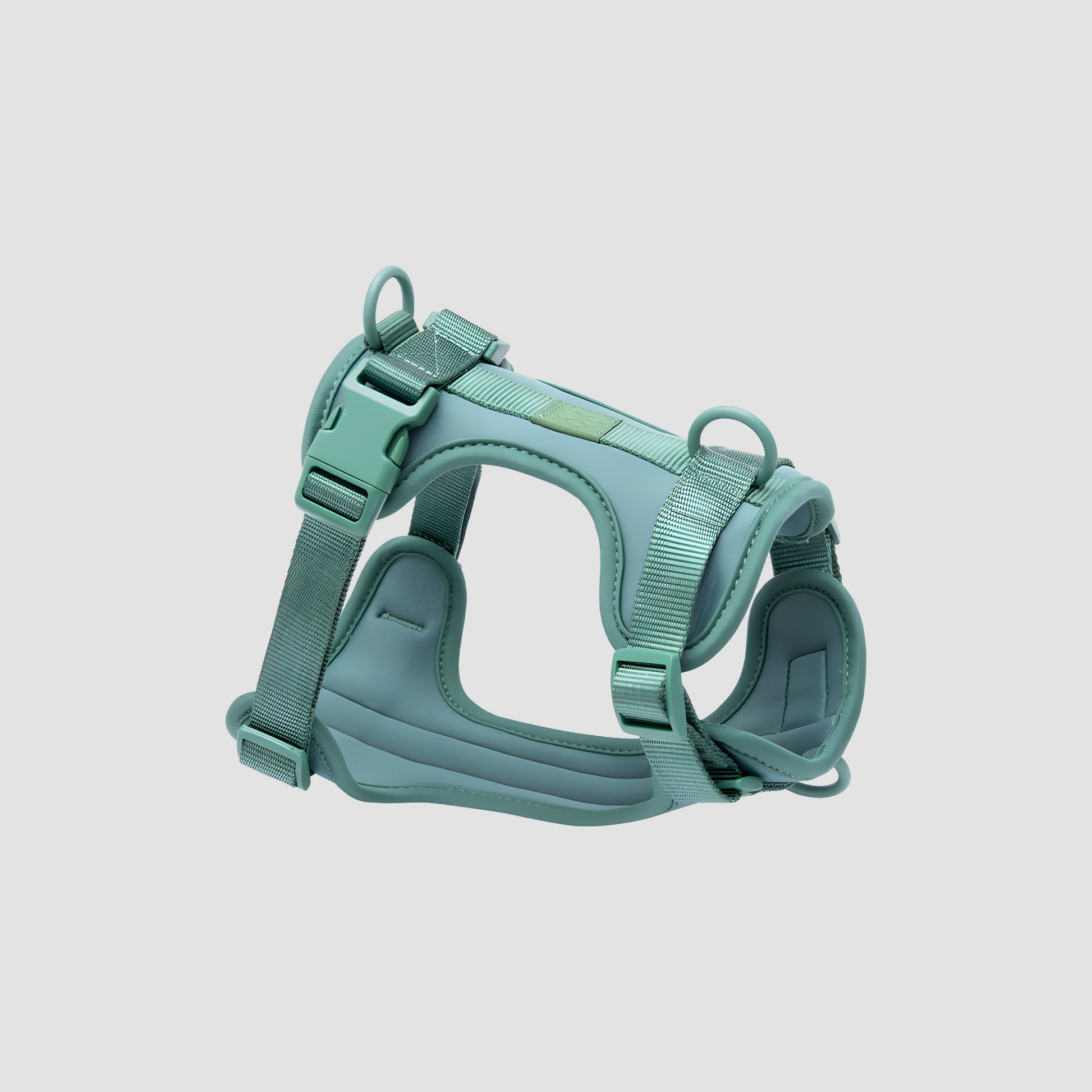 Everyday Dog Harness Green