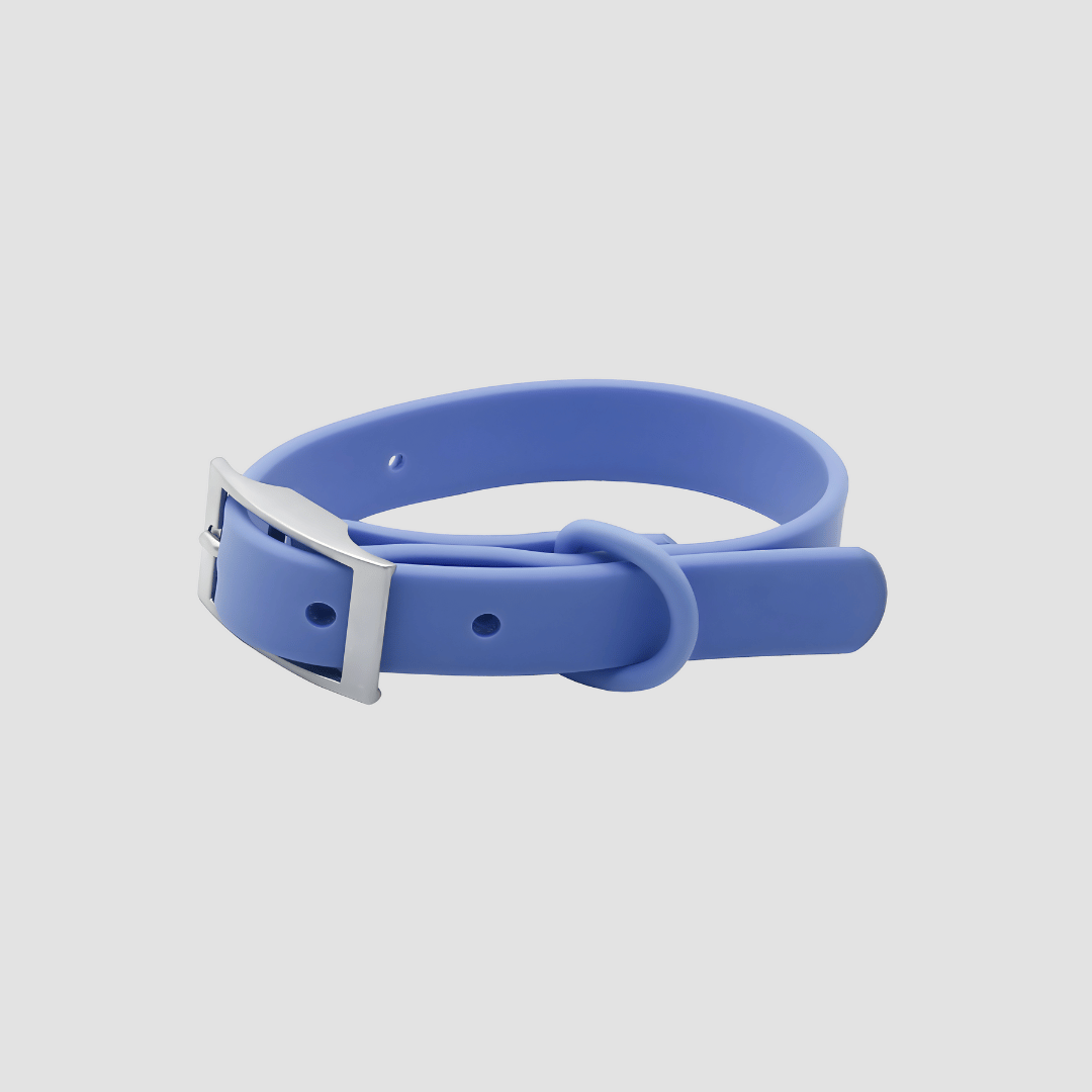 Everyday Weatherproof Pet Collar - Blue