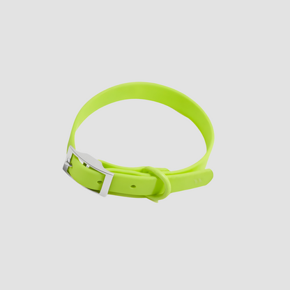 Everyday Weatherproof Pet Collar - Cyber Lime