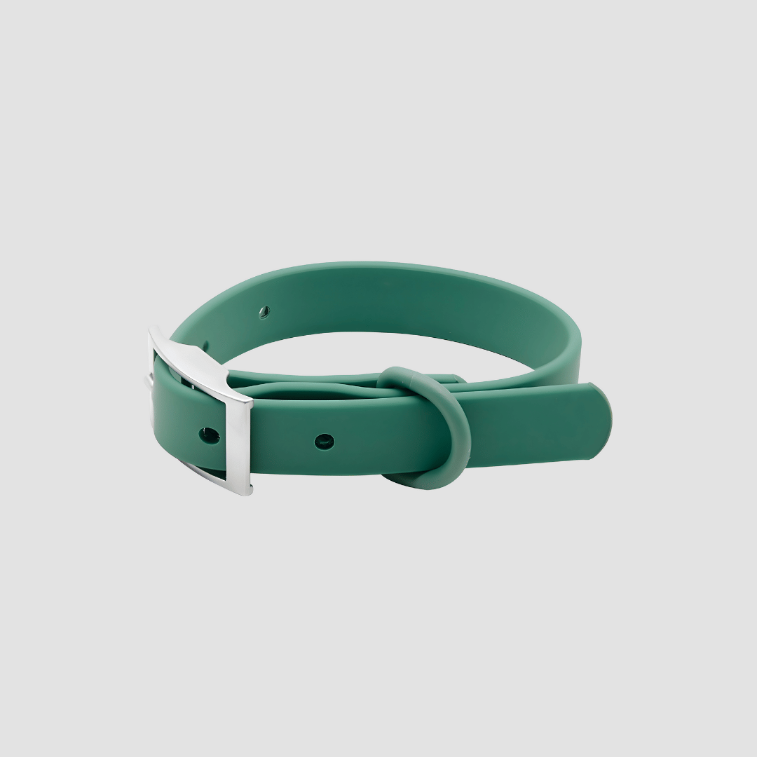 Everyday Weatherproof Pet Collar - Green