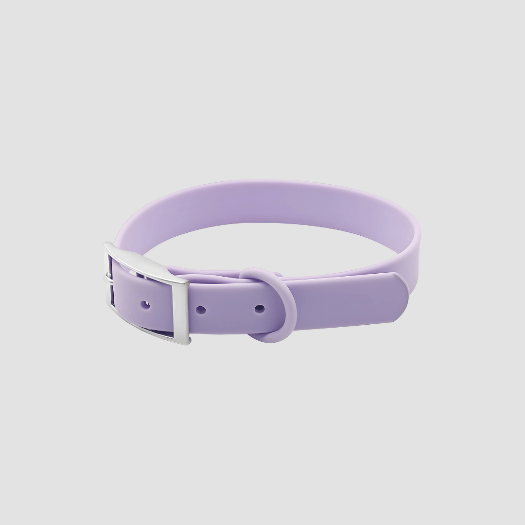 Everyday Weatherproof Pet Collar - Lilac