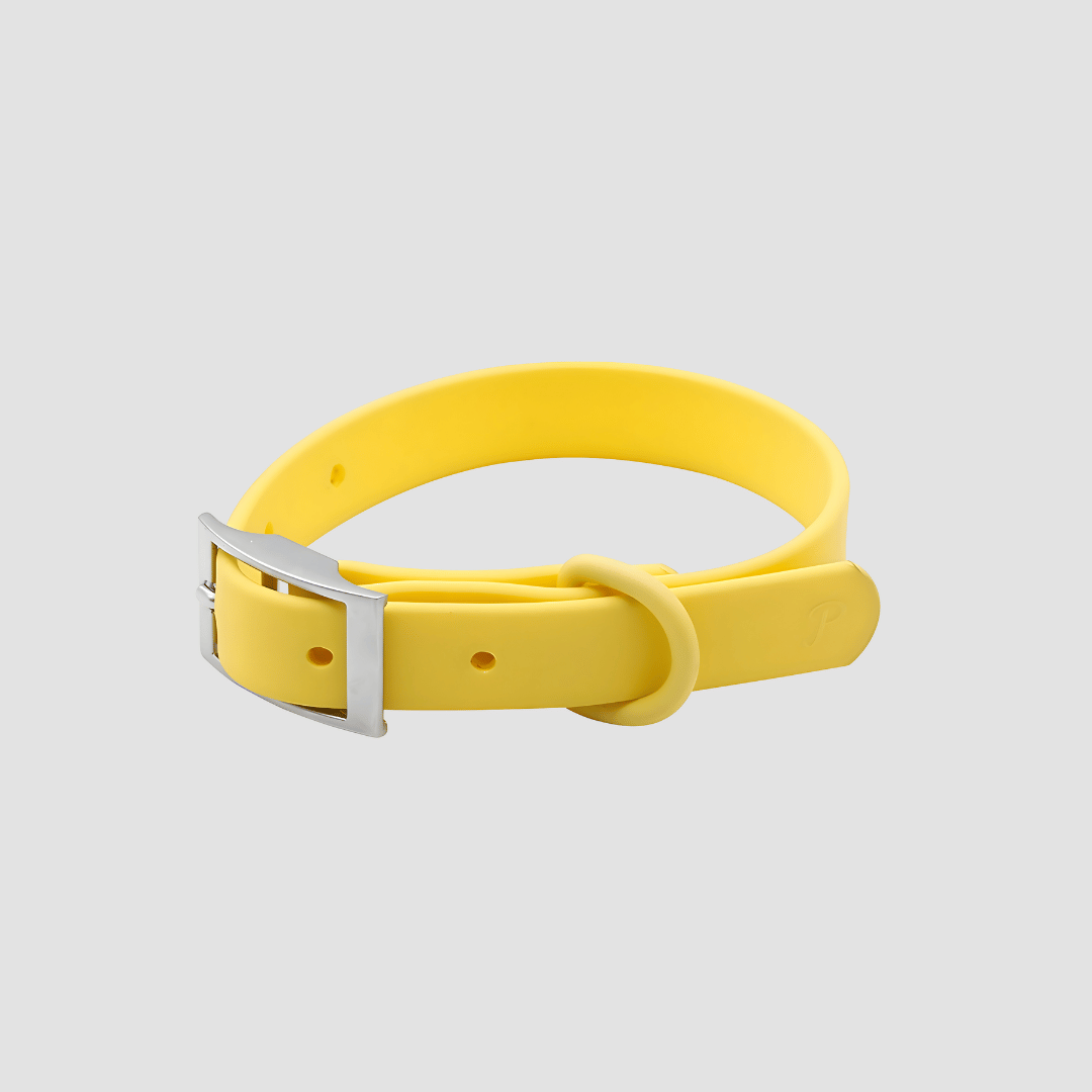 Everyday Weatherproof Pet Collar - Yellow