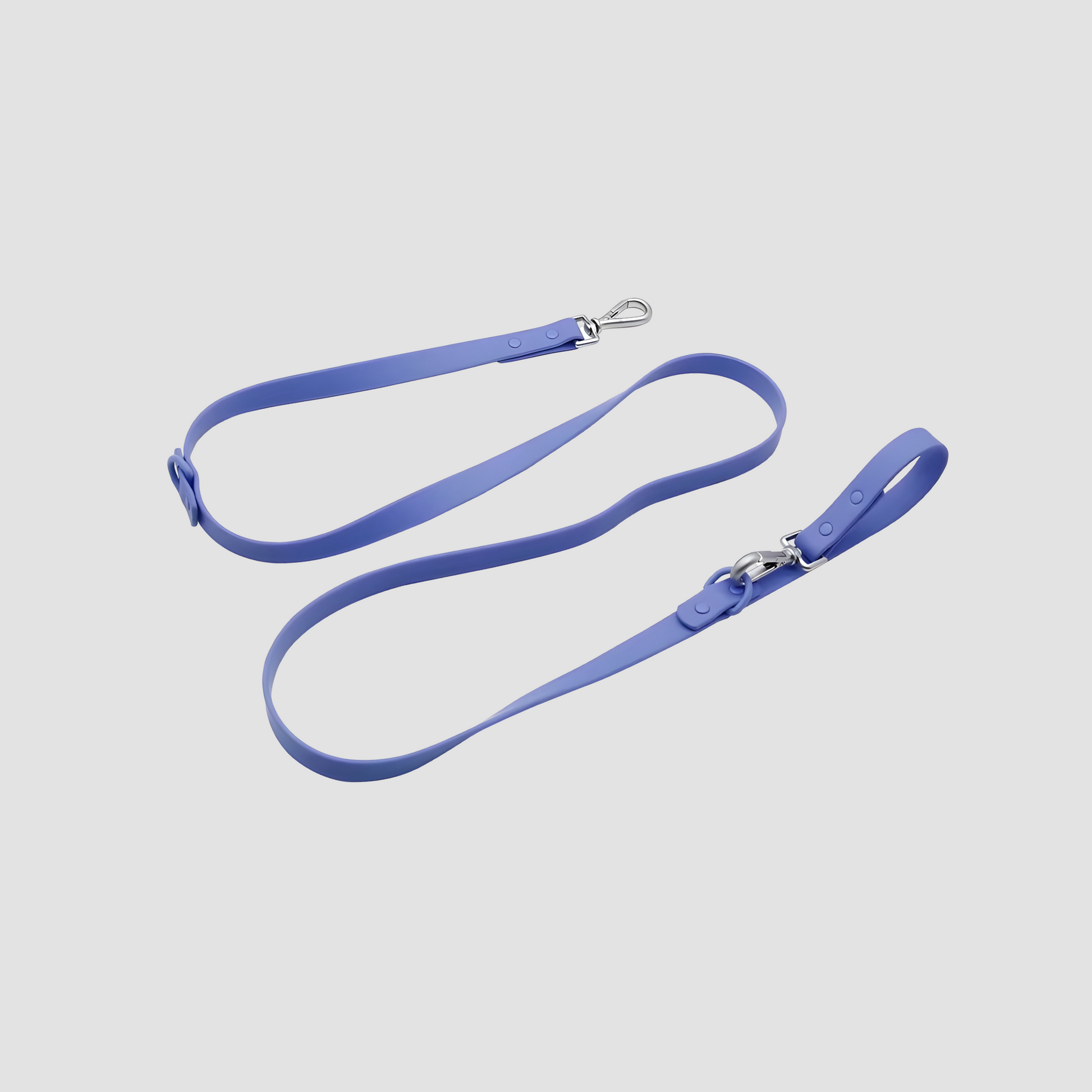 Everyday Weatherproof Pet Leash - Blue