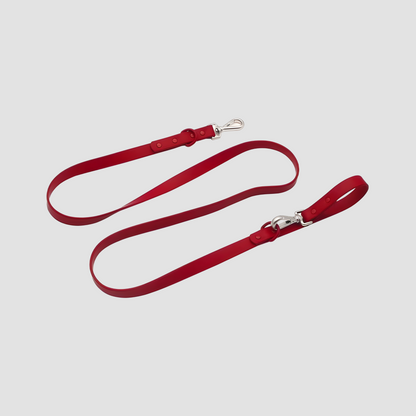 Everyday Weatherproof Pet Leash Red