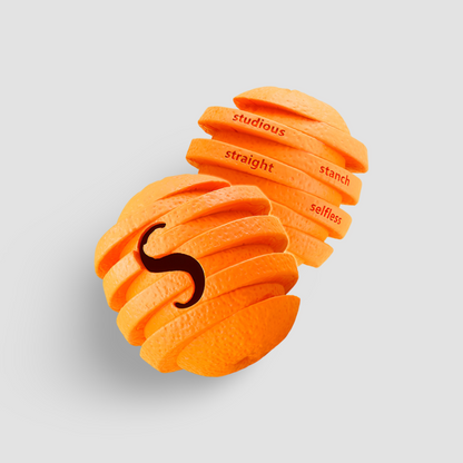 Pawsitive Treat Dispensing Dog Toy Tangerine