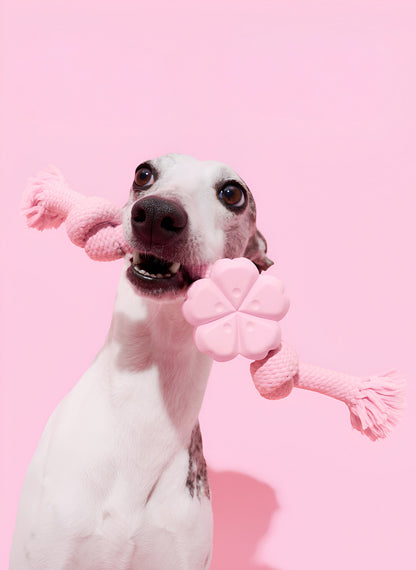 Vetreska Cherry Blossom Dog Rope Toy